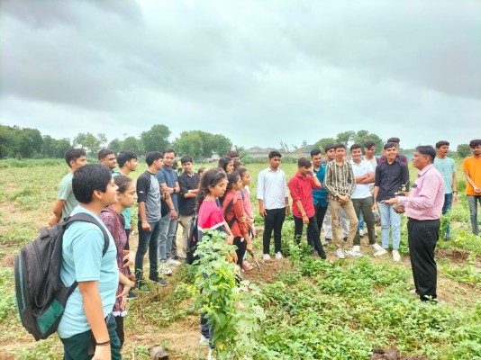 Tree Plantation was done by Sal College Students