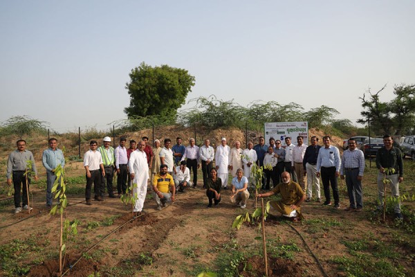 World environment Day Tree plantation