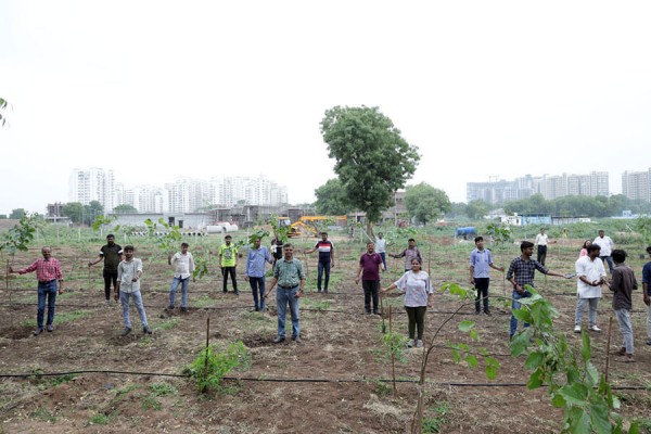 the tree plantation event day