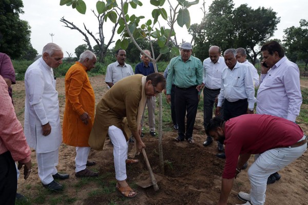 Tree Plantation Program