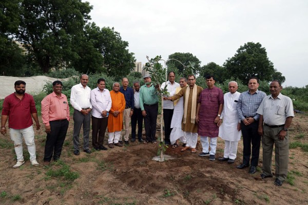 Tree Plantation Program