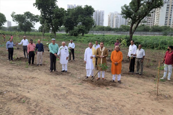 Tree Plantation Program