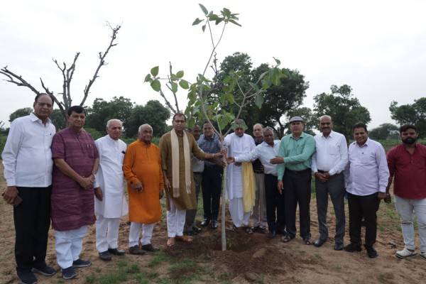 Tree Plantation Program